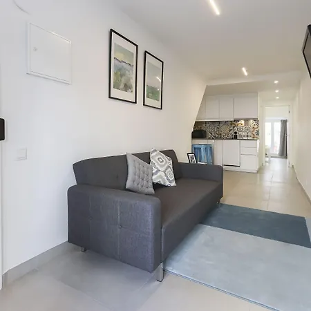 Apartamento Sao Bento Classic By Homing